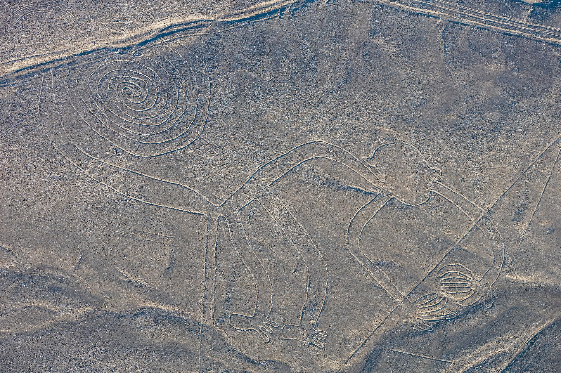Ya no son un misterio las líneas de Nazca.