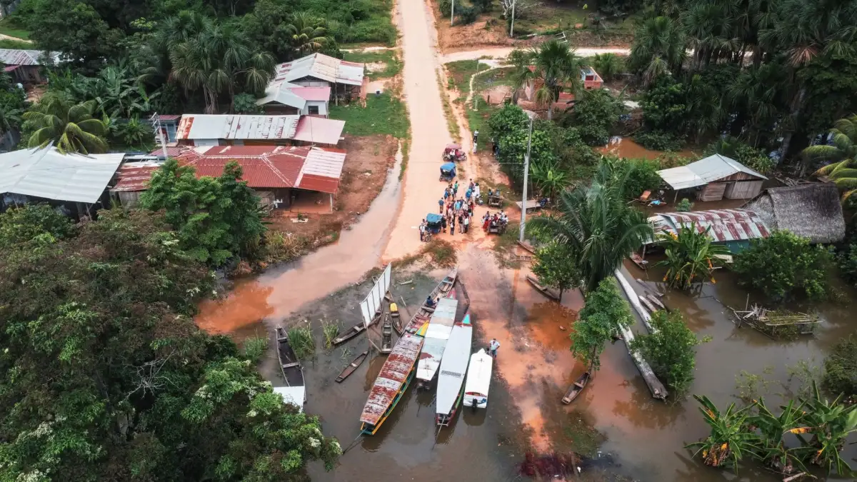 Selva inundada de Colombia, hábitat de la nueva especie de nenúfar