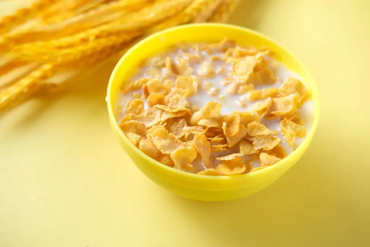 Cuenco de cereales integrales junto a un desayuno de yogur